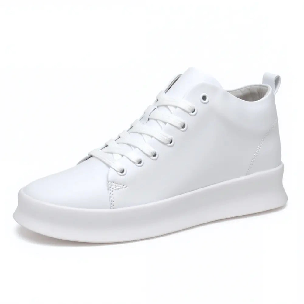 Zaro - 6cm (2.4